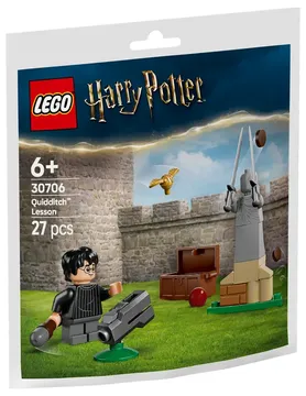 LEGO® Harry Potter™ Quidditch™ Lesson