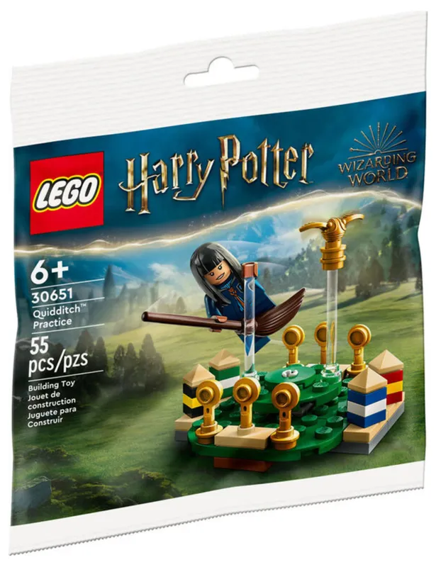 LEGO® Harry Potter™ Quidditch™ Practice