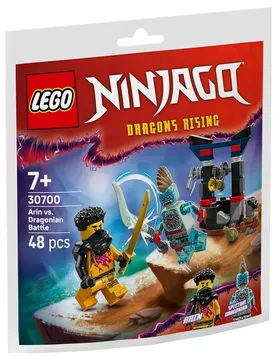 LEGO® NINJAGO® Arin vs. Dragonian Battle